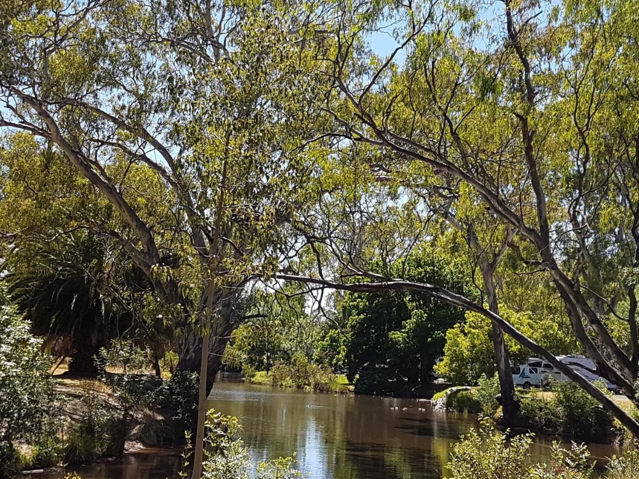 Euroa Caravan Park酒店 外观 照片